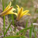 ���� ���������, ������, 72 ���� - ��������� 4 ���� 2012