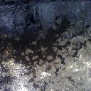 ���� �������, ����� - ��������� 16 ������� 2012 � ������ �������