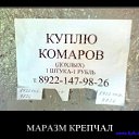 ���� ������, �������, 40 ��� - ��������� 21 ������� 2011 � ������ ���
