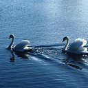 ���� ������, ����������, 49 ��� - ��������� 13 ��� 2012 � ������ ���� ����������