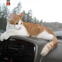 ���� �������, �����-��������� - ��������� 2 ������ 2011 � ������ ���� ����������