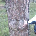 ���� ���������, ����, 48 ��� - ��������� 14 ������� 2011 � ������ �������