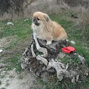 ��, ������, �� �������. ��!!! � �������. �� ������� ����� ��� ������������