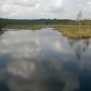 ���� ������ �����������, ������, 61 ��� - ��������� 12 ������ 2012 � ������ ���� ����������