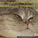 ���� �������, �����������, 61 ��� - ��������� 3 ����� 2013