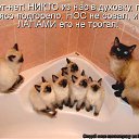 ���� Ivan, ������ - ��������� 24 ������ 2011 � ������ �������