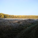 ���� ����, ������, 39 ��� - ��������� 6 ������ 2009