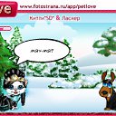  ,  -  22  2010   PetLove