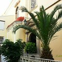 ���� Lina, ����� - ��������� 15 ������ 2011 � ������ ������ 2011�