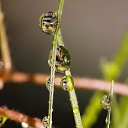 ���� �����, ������, 26 ��� - ��������� 11 �������� 2010 � ������ �����