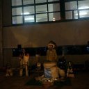  Niedara, , 51  -  12  2012   