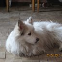 ���� Serega, �����-���������, 34 ���� - ��������� 24 ����� 2011 � ������ ������ � ��������