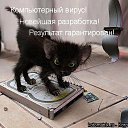 ���� �����, ��������, 40 ��� - ��������� 23 ������� 2010 � ������ �������������