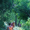 ���� ���������, �����-���������, 37 ��� - ��������� 9 �������� 2010 � ������ ������������ 2010.�