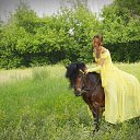 ���� ���������, �����������, 34 ���� - ��������� 27 ������ 2012 � ������ ���� ����������