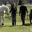 ���� ���������, ��������, 27 ��� - ��������� 17 ������ 2009