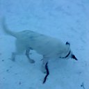 ���� ������, ����-�������, 41 ��� - ��������� 4 ������� 2010 � ������ ���� ��������