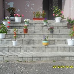 ���� ��������, �����, 69 ��� - ��������� 19 ���� 2012