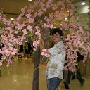 ���� Soft, ������, 40 ��� - ��������� 1 ������ 2010 � ������ ���� ����������