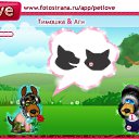 ���� �������, �����-���������, 61 ��� - ��������� 19 ������� 2010 � ������ �PetLove�
