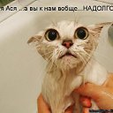 �� ��� ����������� ��������� �������) �� ������� ���� ����������