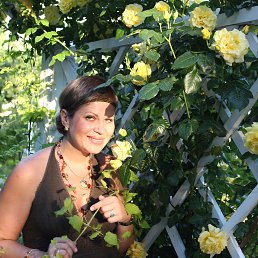 ���� �����, ���������, 54 ���� - ��������� 16 ���� 2013