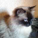 ���� ����, ������, 64 ���� - ��������� 7 ����� 2012 � ������ �RoadKing�