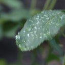  , , 46  -  20  2011    ..