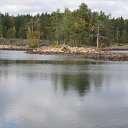  , -, 53  -  8  2009     