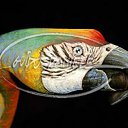 ���� ����. ��������� �� ��!, ������, 72 ���� - ��������� 1 ��� 2012 � ������ �Body art�