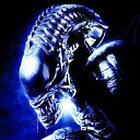  Xenomorph, , 53  -  3  2011   