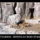 ���� ������, �����, 58 ��� - ��������� 1 ��� 2011 � ������ �������