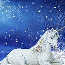  , , 45  -  14  2010   ?!