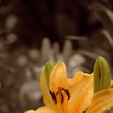 ���� ����� - ���������� ��������!!!, �����������, 56 ��� - ��������� 10 ������ 2010 � ������ ������