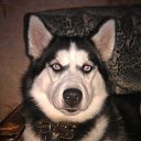 ������ �� ������� ���� ����� � ���-�������.�