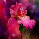 ���� �������, ������ - ��������� 21 ������ 2012 � ������ ���������