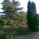 ���� Koldiv, ��������� - ��������� 10 ������ 2009 � ������ �������