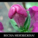 ���� ������, ������, 51 ��� - ��������� 30 ����� 2013 � ������ ���� ����������
