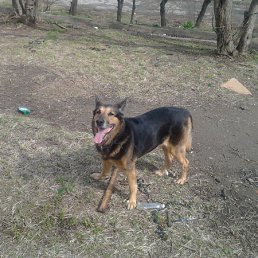 ���� �������, �������, 48 ��� - ��������� 1 ��� 2012