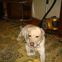 ���� �������, ��������, 46 ��� - ��������� 30 ����� 2012 � ������ ���� ����������