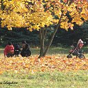 ���� �������, �����, 36 ��� - ��������� 19 ������� 2009 � ������ ���� �������