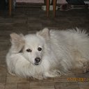 ���� Serega, �����-���������, 34 ���� - ��������� 24 ����� 2011 � ������ ������ � ��������