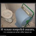 ���� Nyu (� ��), �����������, 28 ��� - ��������� 15 ������� 2011 � ������ �������