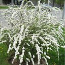 ���� ���� ����, ����������, 50 ��� - ��������� 19 ����� 2010 � ������ ������-2009�