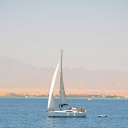 ���� ������, ������ - ��������� 20 ���� 2012 � ������ �������