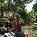   -  !), -, 53  -  17  2013    ɻ