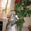 ���� Natalya, �����������, 59 ��� - ��������� 3 ���� 2013 � ������ ����� ��� ������������