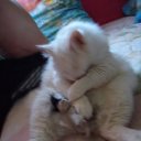 ���� �������, �����-���������, 61 ��� - ��������� 12 ������ 2011 � ������ ���� �����