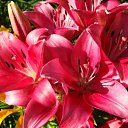 ���� ������, ������, 63 ���� - ��������� 5 ������� 2011 � ������ ������-���� �����-2�