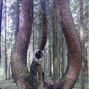 ���� ������, ������, 46 ��� - ��������� 30 �������� 2011